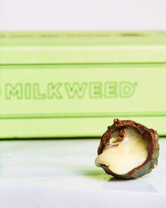 MILKWEED Confections Prepared Food Evergreen Bud